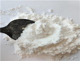 Dimethylamine Hydrochloride