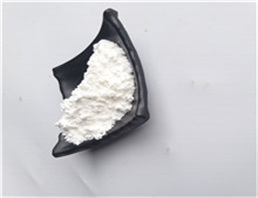 PHENYLPYRUVIC ACID SODIUM SALT MONOHYDRATE