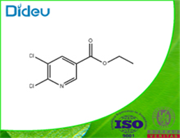 5,6-DICHLORONICOTINIC ACID ETHYL ESTER