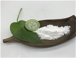 CHLORPROPAMIDE