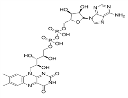 Flavin adenin dinucleotide