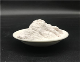 NICOTINAMIDE RIBOSIDE