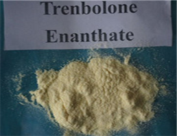 99.78% Trenbolone Acetate Raw Powder Tren Ace