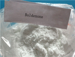 Boldenone