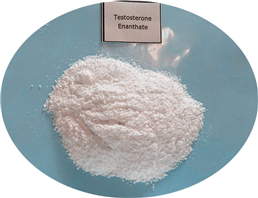 Testosterone Enanthate