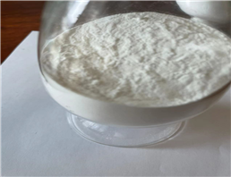 Testosterone Propionate