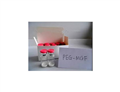 PEG-MGF pictures