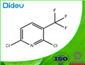 2,6-Dichloro-3-(trifluoromethyl)pyridine  pictures