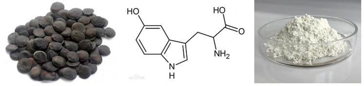 5-HTP