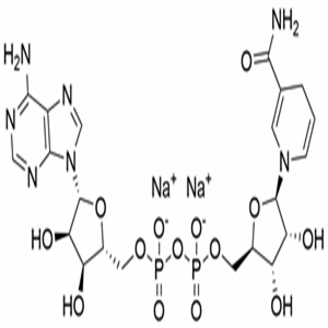 β-nicotinamide adenine dinucleotide (reduced form)