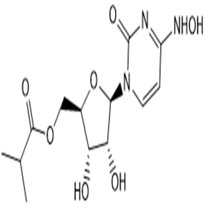 Molnupiravir EIDD-2801