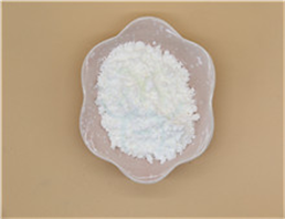 SODIUM POLYGLUTAMATE