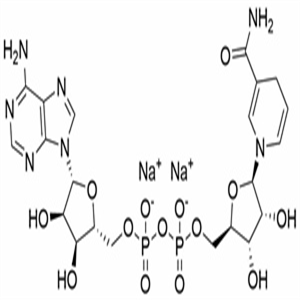 β-nicotinamide adenine dinucleotide (oxidized form)