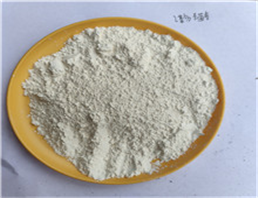 Sodium carboxyl methylstarch