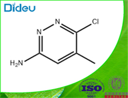 6-chloro-5-Methyl-3,6-dihydropyridazin-3-aMine