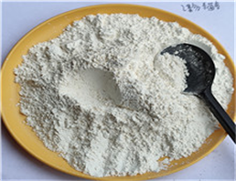 Sodium carboxyl methylstarch