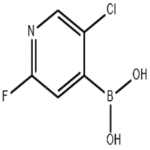 5-Chloro-2-fluoropyridine-4-boronic acid pictures