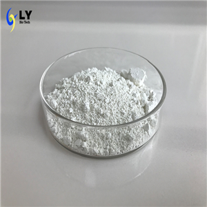 xylazine hydrochloride