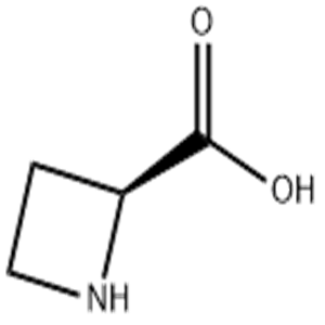 (S)-L-Azetidine-2-carboxylic acid