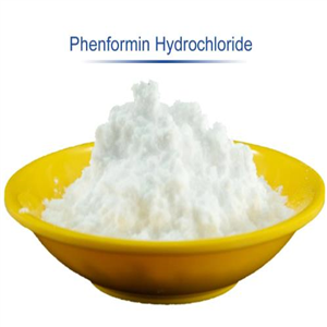 Phenformin (hydrochloride)