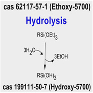 Hydroxy-5700 Antimicrobial (water solution)