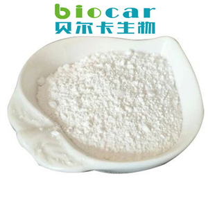 Rimonabant hydrochloride