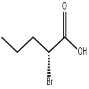 (R)-2-bromo-valericacid