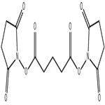 bis(2,5-dioxopyrrolidin-1-yl)pentanedioate pictures