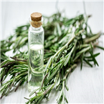 Rosemary oil,Rosemary Essential Oil pictures