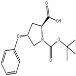 (2S,4R)-Boc-4-phenoxy-pyrrolidine-2-carboxylic acid pictures