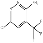 6-chloro-4-(trifluoromethyl)-3-Pyridazinamine pictures