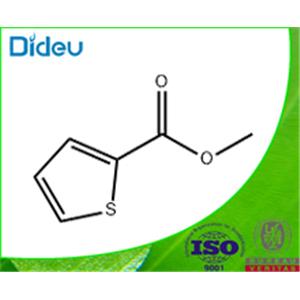 METHYL THIOPHENE-2-CARBOXYLATE