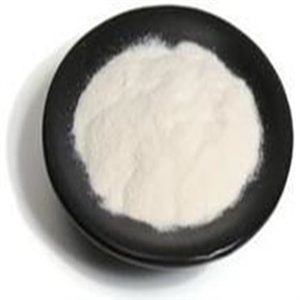 Flubrotizolam Powder