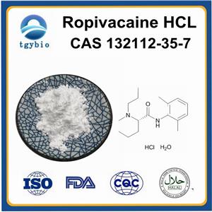 Ropivacaine hydrochloride;Ropivacaine hcl