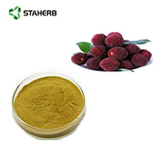 Cortex Myricae extract Myricetin