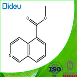 Methyl 5-isoquinolinecarboxylate