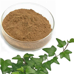 IVY EXTRACT pictures