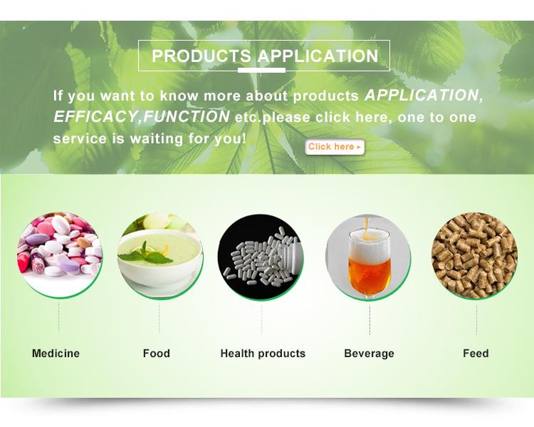 Factory supply Instant green tea powder Green tea extract polyphenols 50%