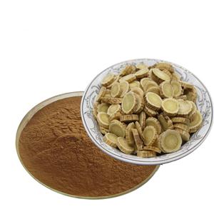 Astragalus Root Extract