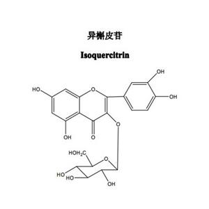 Isoquercitrin