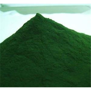 Chlorella Powder