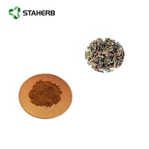 Verbena extract