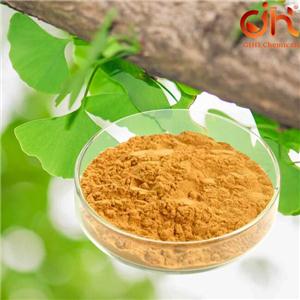 Ginkgo Biloba Extract