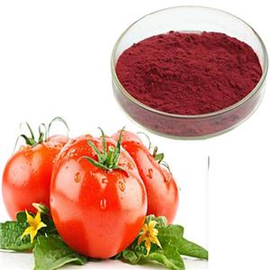 lycopene tomato Extract