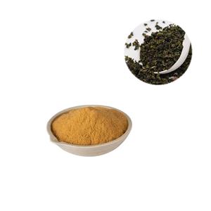Oolong Tea Extract(90% Polyphenol,60% Catechin)