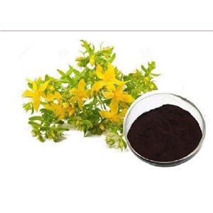 St. John\'s Wort Extract