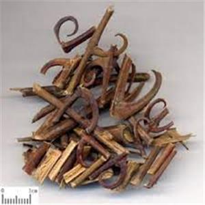 uncaria extract