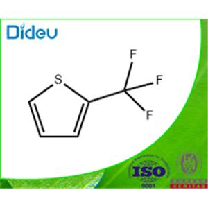 2-(TRIFLUOROMETHYL)THIOPHENE