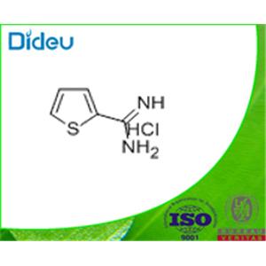 2-AMIDINOTHIOPHENE HYDROCHLORIDE