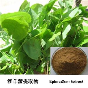 Epimedium Extract(Horny Goat Weed Extract)